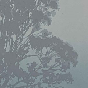 'Still' - layer 5 carved detail