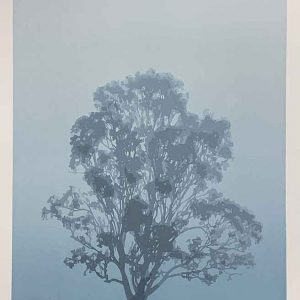 'Still' - layer 8, the final layer