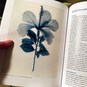 Cyanotype: The Blueprint in Contemporary Practice - inside pages
