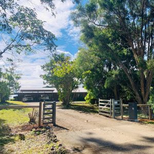 Kim Herringe's The Workshop Studio street front