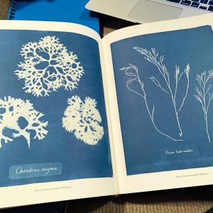 Sun Gardens: Cyanotypes by Anna Atkins