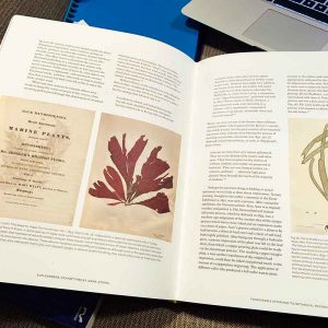 Sun Gardens: Cyanotypes by Anna Atkins