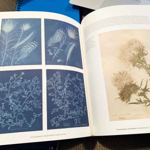 Sun Gardens: Cyanotypes by Anna Atkins
