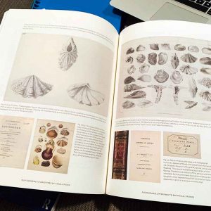 Sun Gardens: Cyanotypes by Anna Atkins