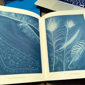 Sun Gardens: Cyanotypes by Anna Atkins