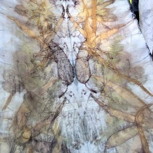 Eco-printing on silk - August 2020