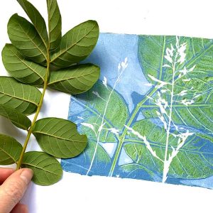 Gel plate monoprinting with African tuliptree leaves
