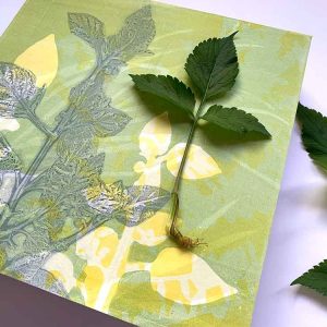 Gel plate monoprinting with weeds, glorious weeds