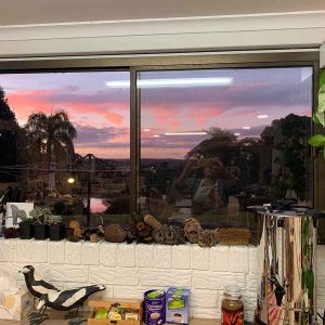 a studio evening view