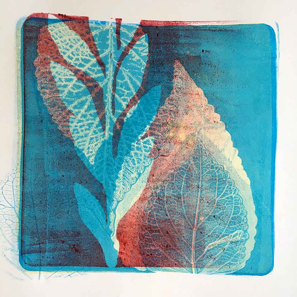 Using Colour and Constrast in Gel Prints 