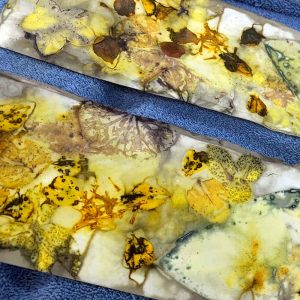 Eco-printing on silk - October 2020