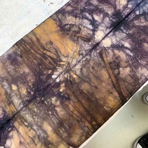 Eco-printing on silk November 2020