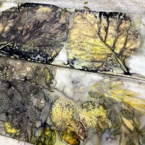 Eco-printing on paper November 2020