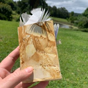 Found ... aertist book of found feathers