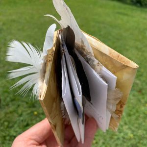 Found ... aertist book of found feathers