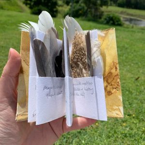 Found ... aertist book of found feathers