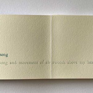 I heard a sound and song and movement of air swoosh above my head