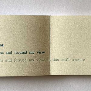 When I took the time and focused my view on this small feather