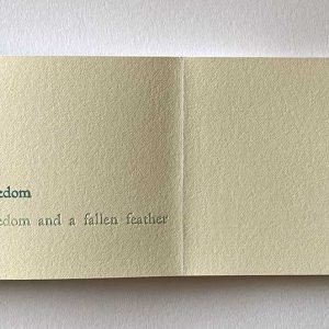 I found a gift of freedom and a fallen feather