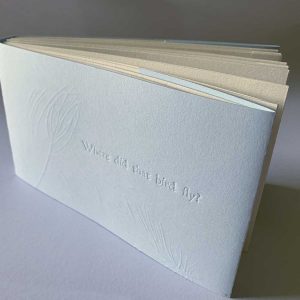 Where did that bird fly? a new artist book, front cover