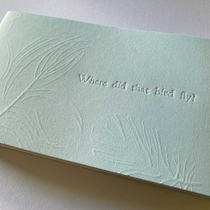 Where did that bird fly? an artist book by Kim Herringe