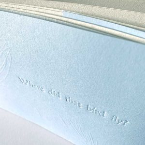 Where did that bird fly? an artist book by Kim Herringe