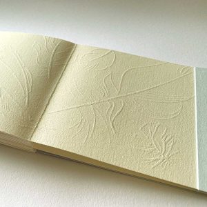 Where did that bird fly? artist book, inside back cover