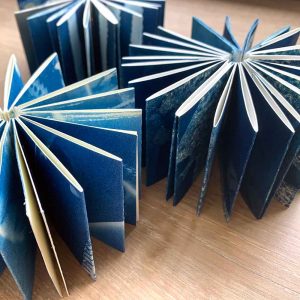 Little cyanotype books