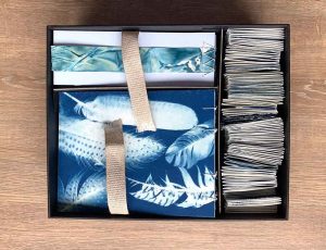 Cyanotype book box