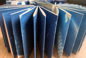 Mini accordian coptic bound cyanotype artist books