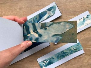 Cyanotype stab stitched book