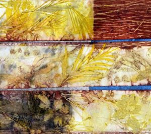 Eco-printing on paper - February 2021