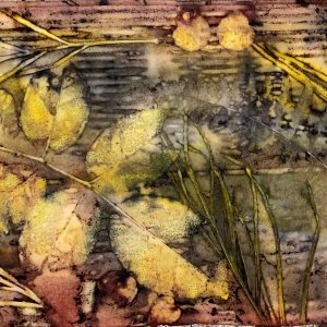 Eco-printing on paper - February 2021