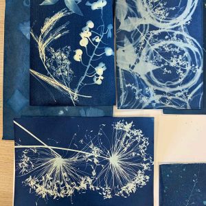 Cyanotype Workshop March 2021