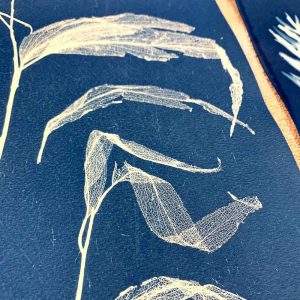 Cyanotype Workshop March 2021