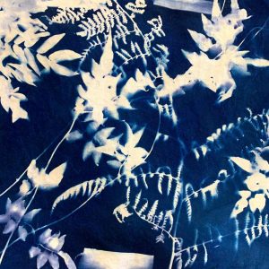 Cyanotype Workshop March 2021