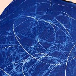 Cyanotype Workshop March 2021