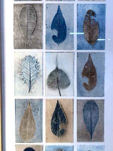 Editions exhibition opening night - Sandra Pearce's work