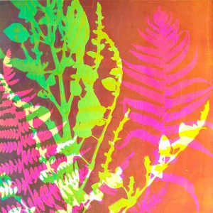 Gelatin Plate Monoprints