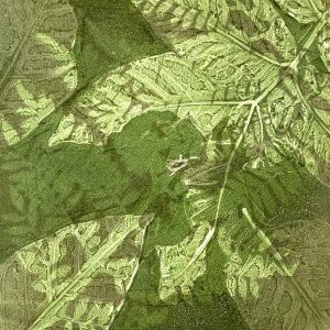 Gel Plate Monoprinting workshop - March 2021, Private Group