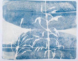 Online Gel Platae Printing Workshop, Jenny, UK