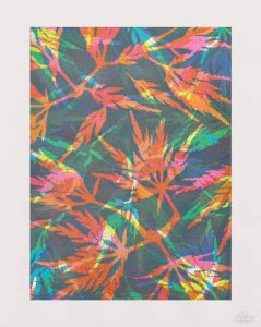 Online Gel Plate Printing Workshop, Linda, USA