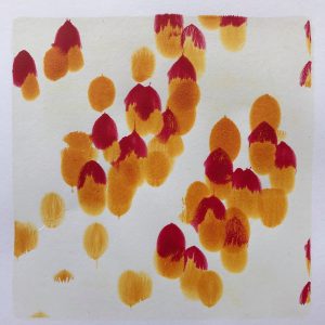 Online Gel Platae Printing Workshop, Mindy, Australia