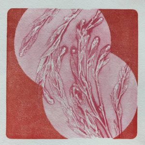 Online Gel Platae Printing Workshop, Mindy, Australia