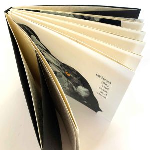 Magpie Stories - Siblings - artist book