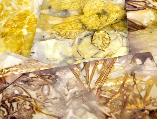 Eco-printing on Paper workshop