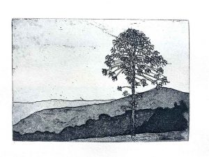 etching workshop - line drawing with added tone
