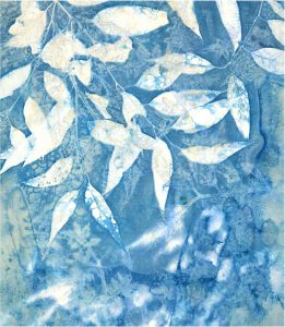 Wet cyanotype