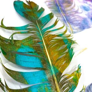 Gel Plate Monoprinting workshop - June 2021