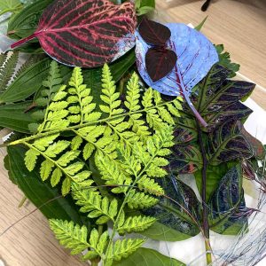 Gel Plate Monoprinting workshop - June 2021